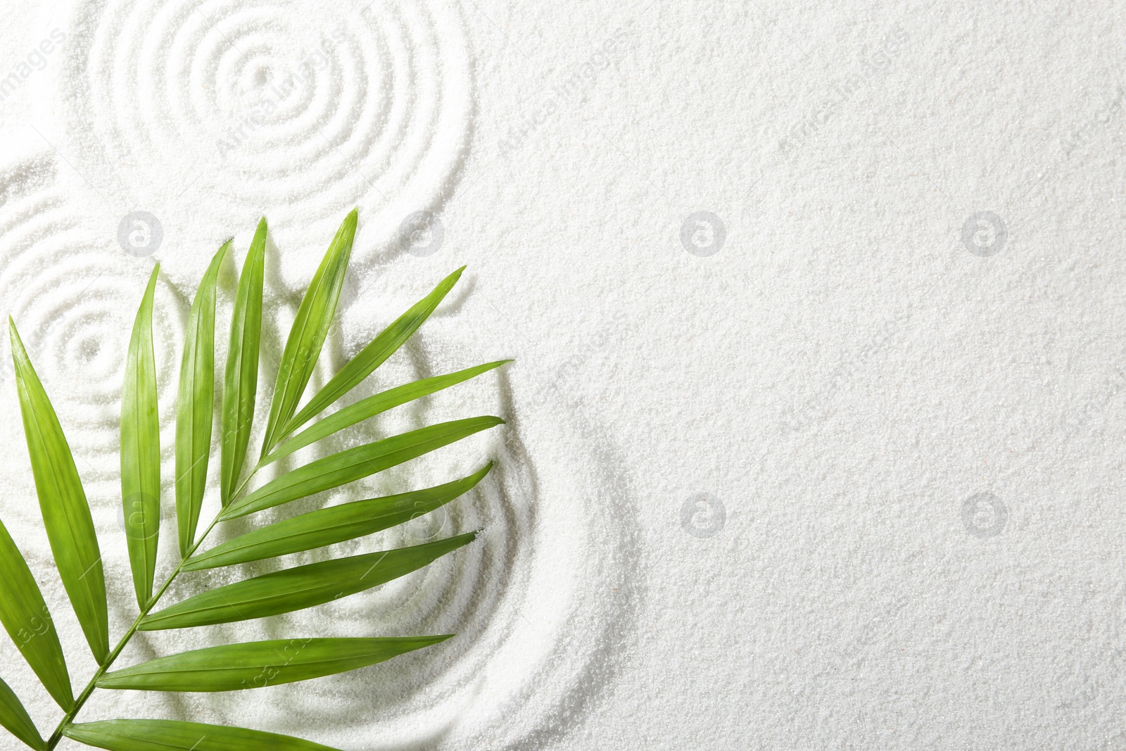 Photo of Zen rock garden. Circle patterns on white sand and green leaf, top view. Space for text