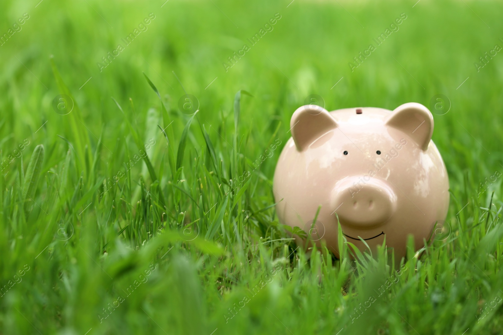 Photo of Cute piggy bank in green grass outdoors