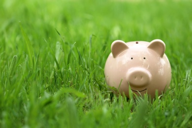 Photo of Cute piggy bank in green grass outdoors