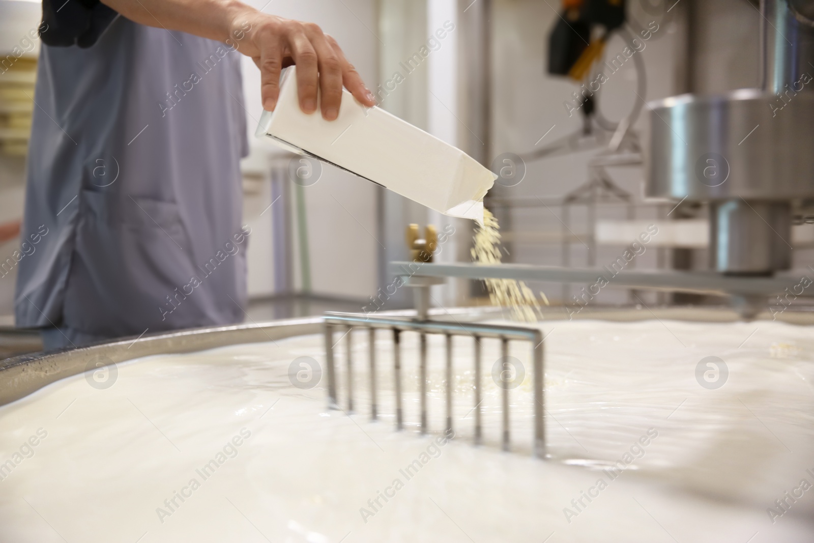 Photo of Worker adding culture to milk in curd preparation tank at cheese factory, closeup