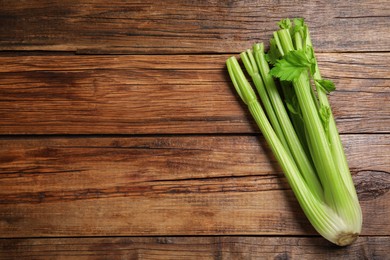 Photo of One fresh green celery bunch on wooden table, top view. Space for text