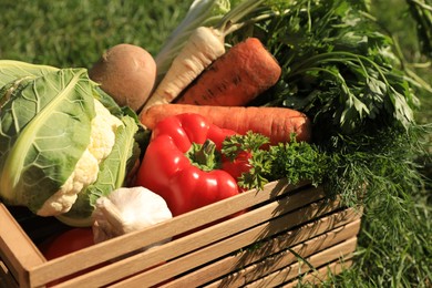 Photo of Different fresh ripe vegetables in wooden box on grass, closeup