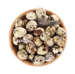 Bowl with speckled quail eggs and feathers isolated on white, top view