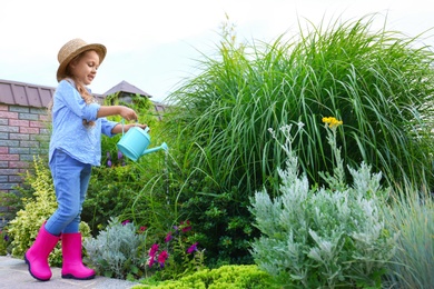 Little girl watering plant outdoors. Home gardening