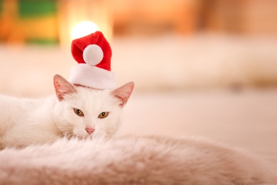 Photo of Cute white cat wearing Santa hat on fuzzy carpet in room decorated for Christmas. Adorable pet