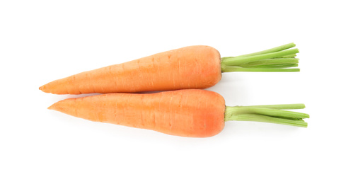 Fresh ripe juicy carrots isolated on white, top view