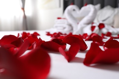 Photo of Honeymoon. Swans made with towels and beautiful rose petals on bed, selective focus