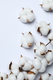 Beautiful cotton flowers on white background, top view