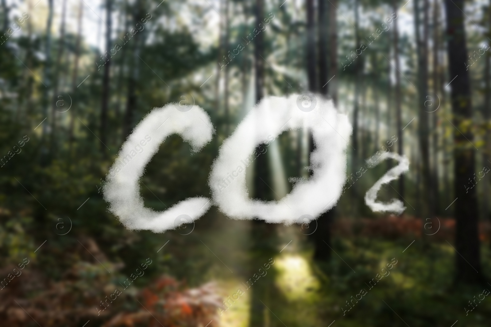 Image of Concept of clear air. CO2 inscription and beautiful forest