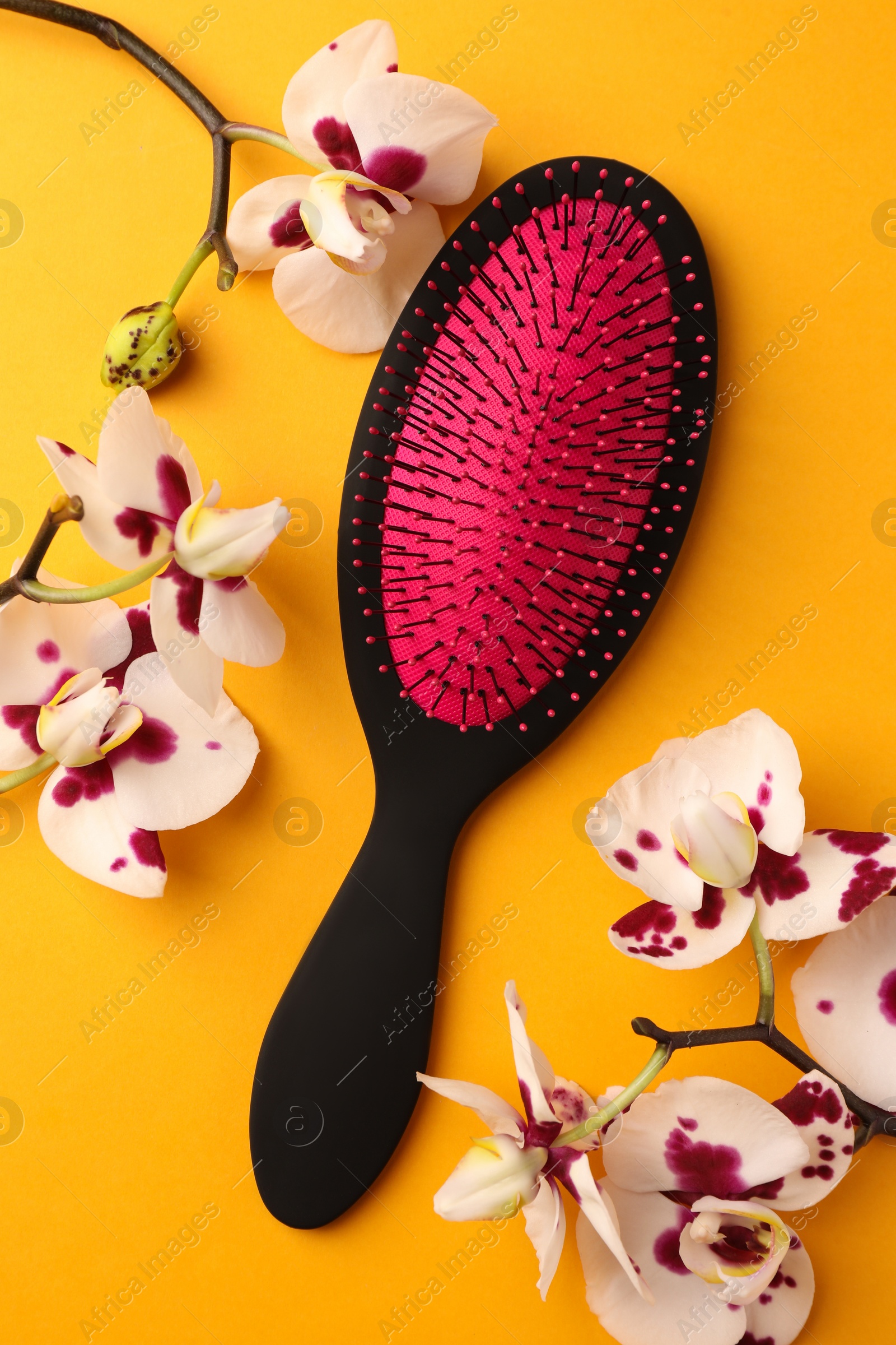 Photo of Stylish hairbrush and orchid flowers on yellow background, top view