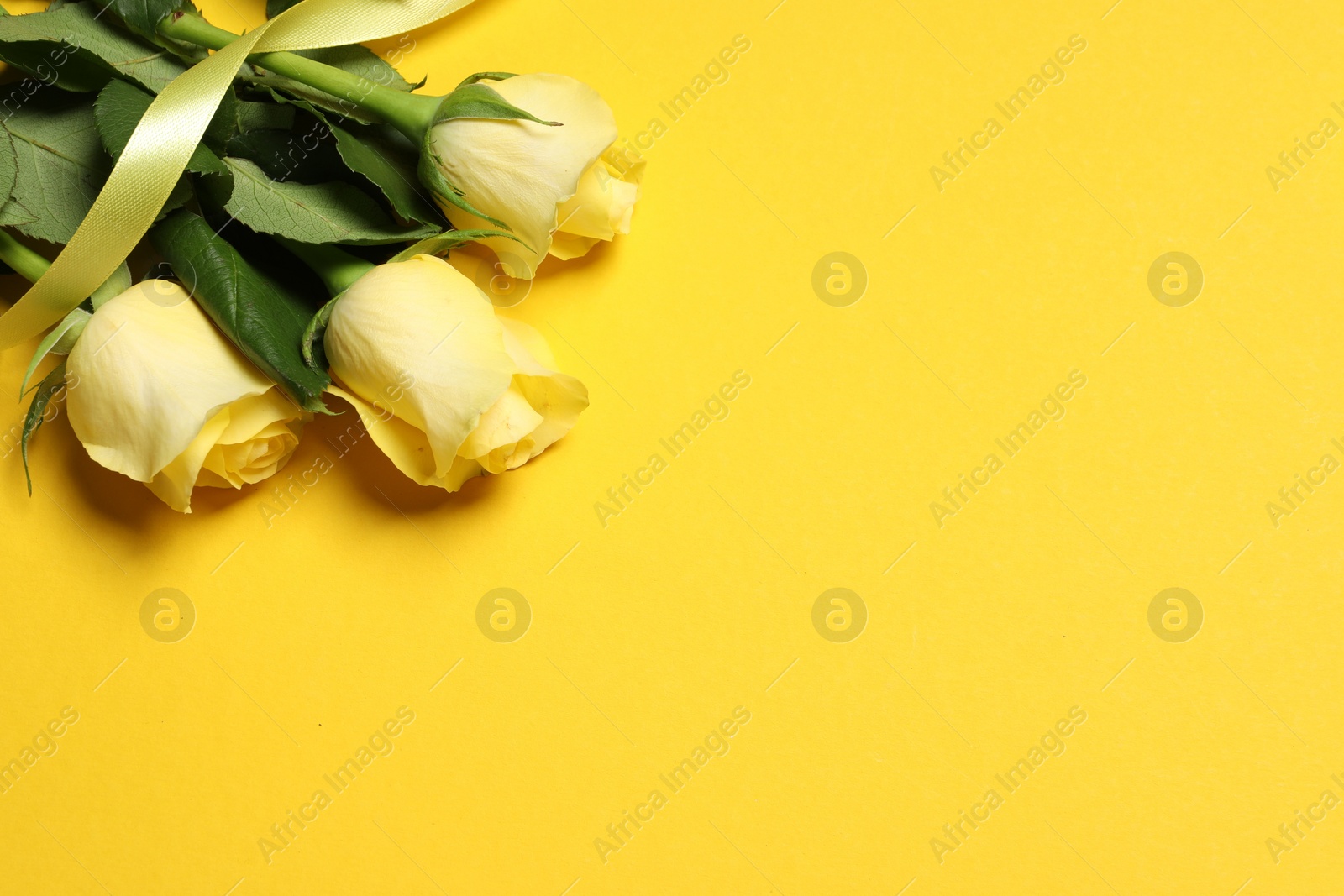 Photo of Beautiful roses and ribbon on yellow background, above view. Space for text