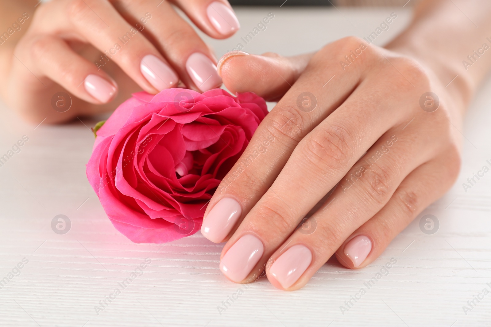 Photo of Closeup view of woman with rose at white wooden table. Spa treatment