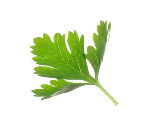 Fresh green organic parsley on white background