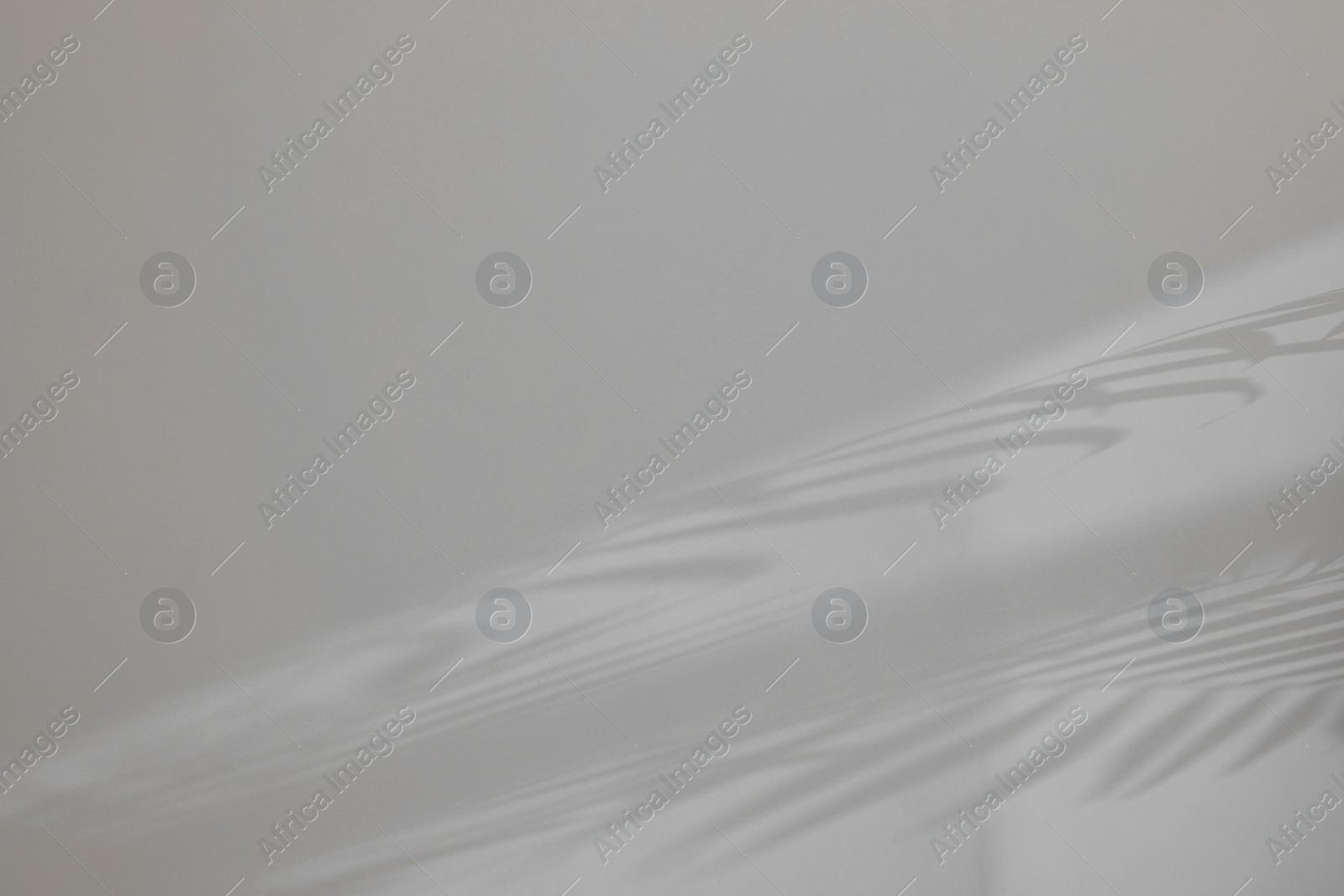 Photo of Shadows from plant on white wall indoors