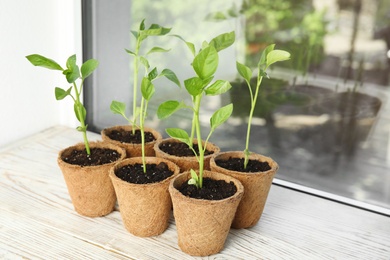 Vegetable seedlings in peat pots on wooden window sill indoors