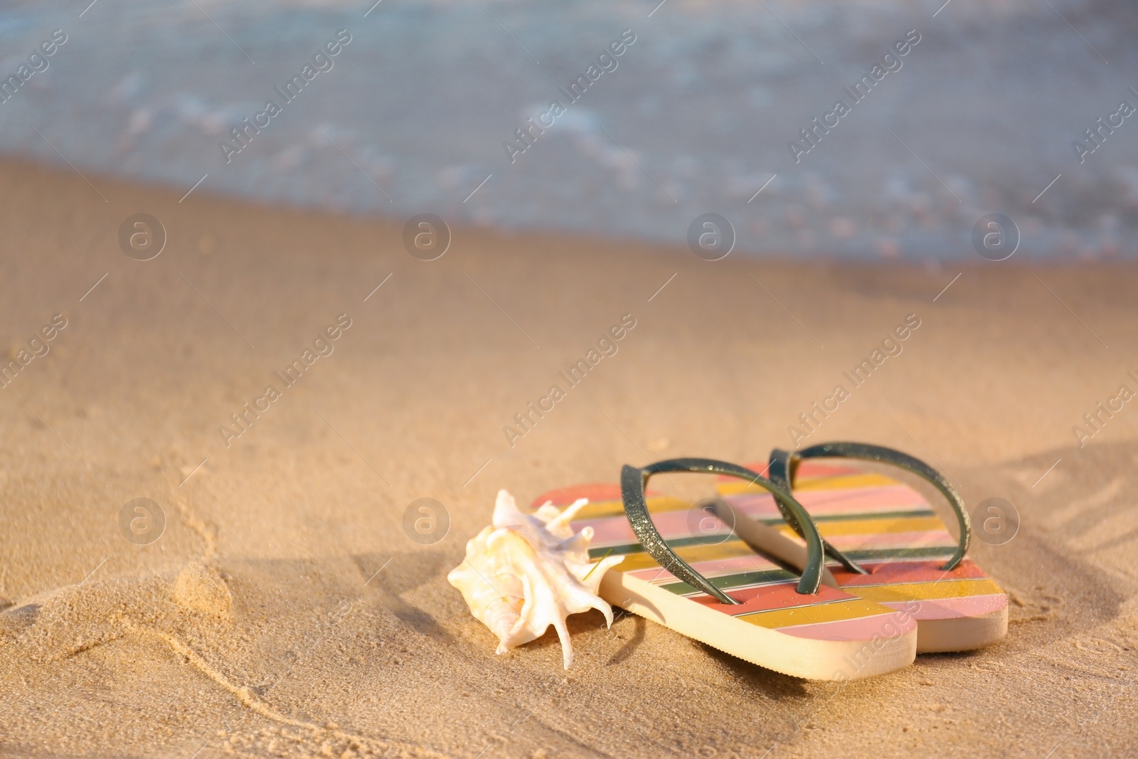 Photo of Stylish flip flops and shell on sand near sea, space for text. Beach accessories