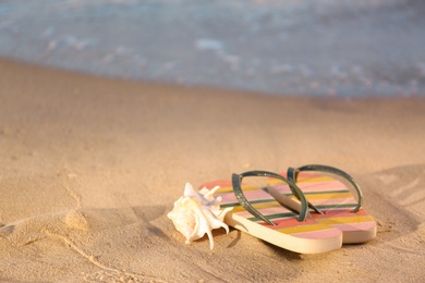 Photo of Stylish flip flops and shell on sand near sea, space for text. Beach accessories