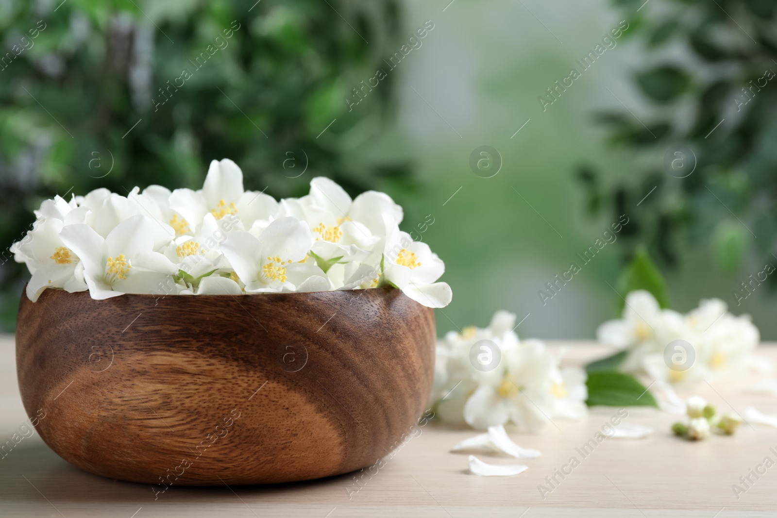 Photo of Bowl with beautiful jasmine flowers on white wooden table, closeup. Space for text