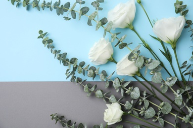 Photo of Eucalyptus branches with fresh green leaves and flowers on color background, flat lay