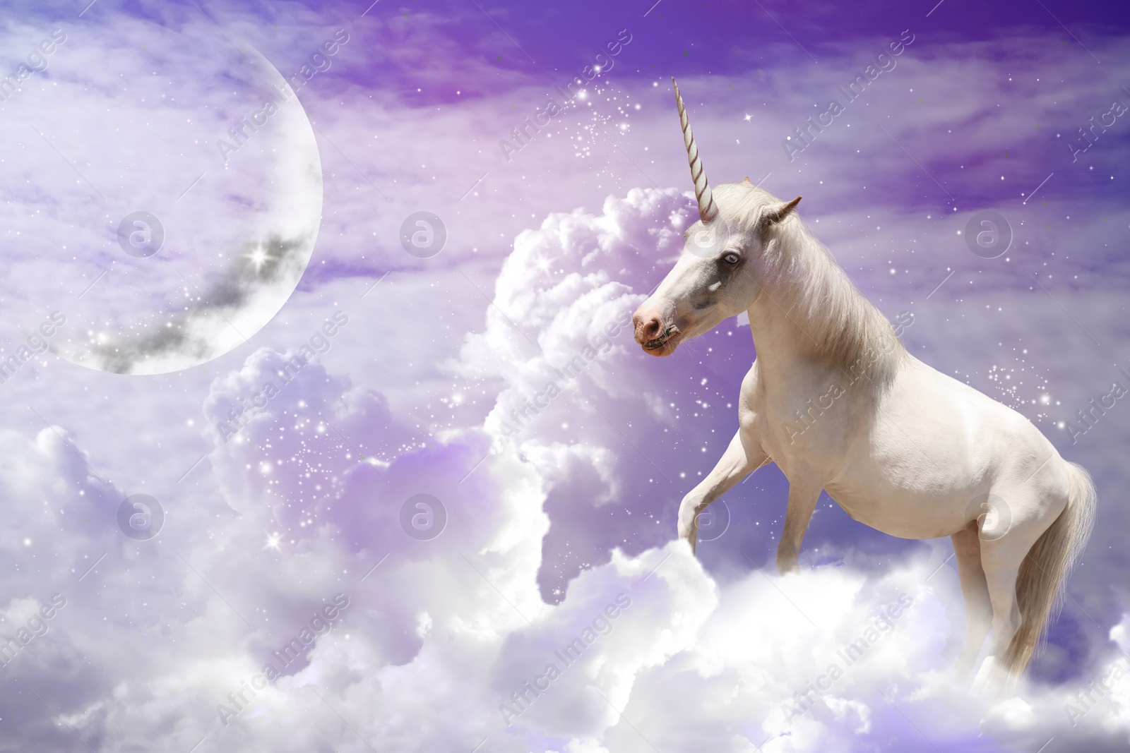 Image of Magic unicorn in fantastic sky with fluffy clouds and crescent 