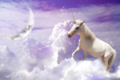 Magic unicorn in fantastic sky with fluffy clouds and crescent 