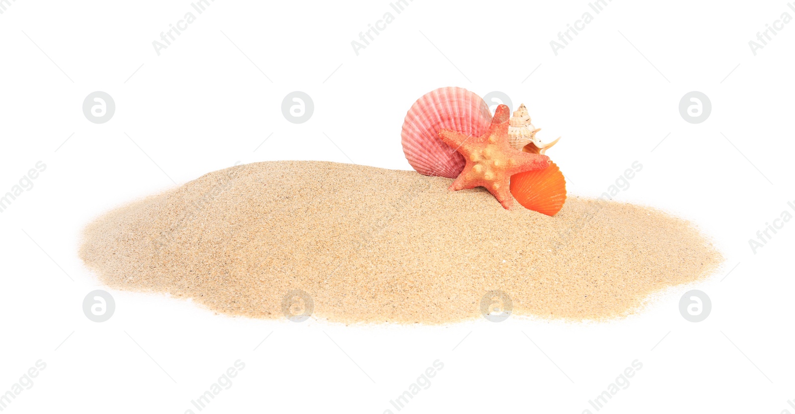 Photo of Beautiful sea star and seashell in sand isolated on white