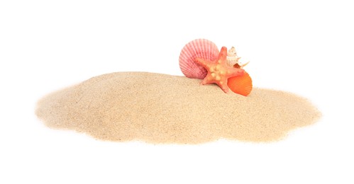 Photo of Beautiful sea star and seashell in sand isolated on white