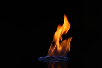 Beautiful view of flaming vodka on black background