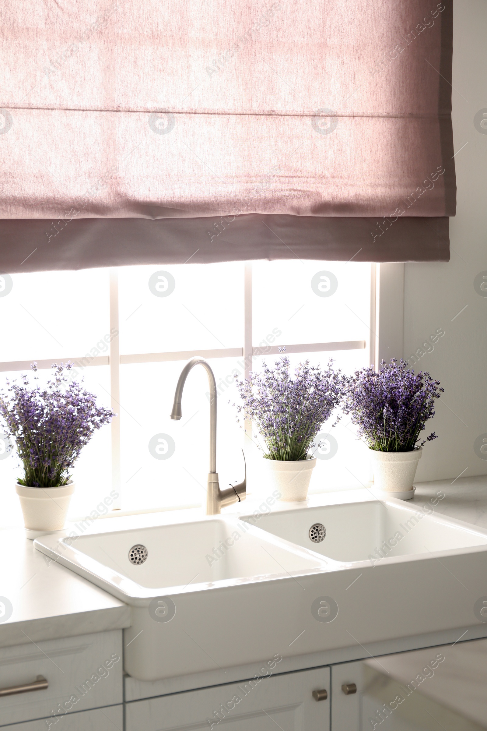 Photo of Beautiful lavender flowers on countertop near window in kitchen
