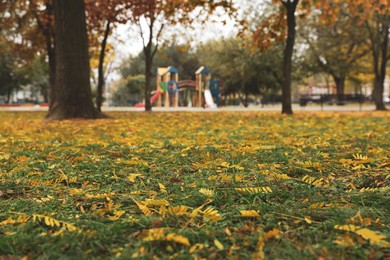 Beautiful view of park with trees on autumn day, low angle view