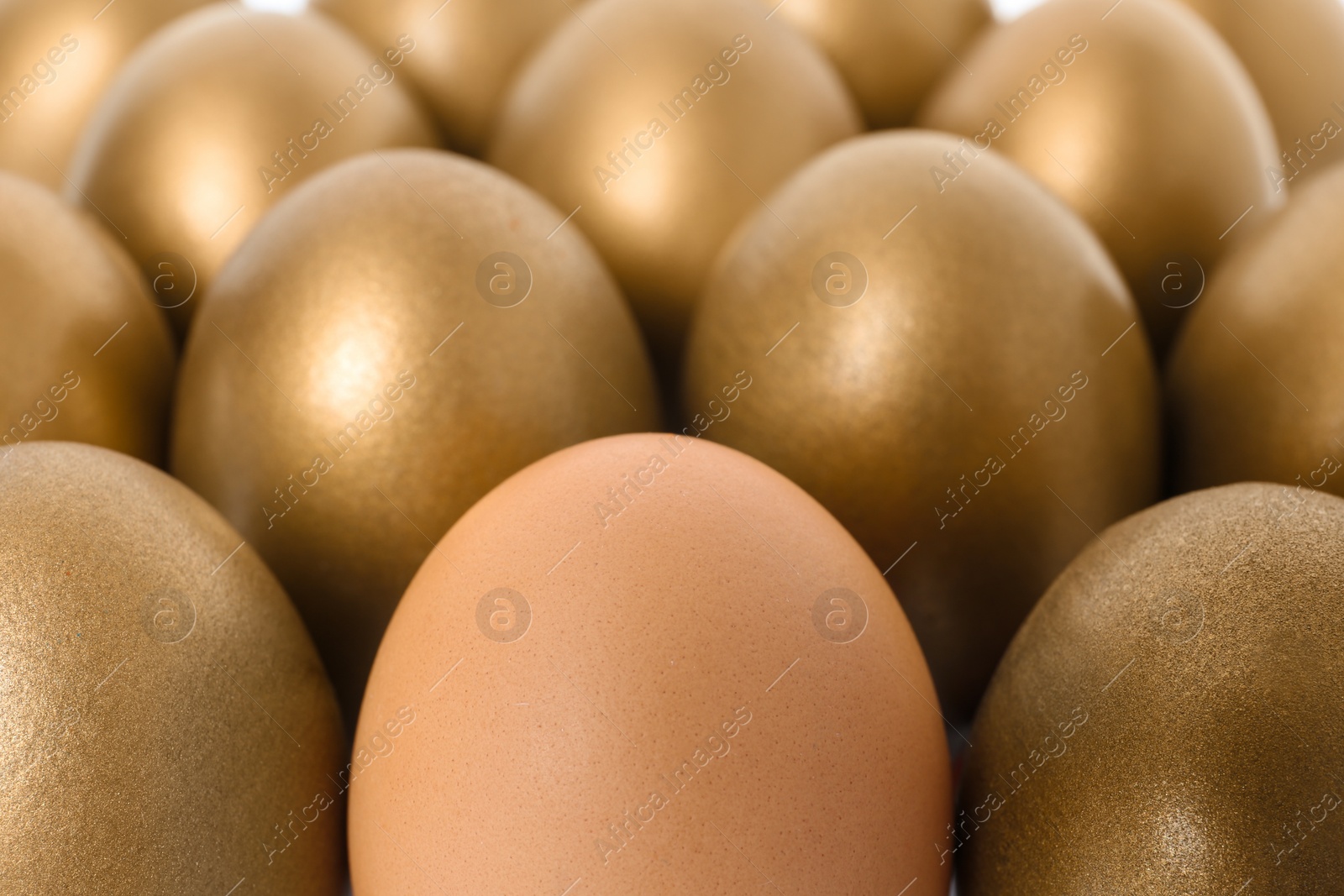 Photo of Golden eggs with different one as background, closeup