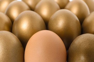 Golden eggs with different one as background, closeup