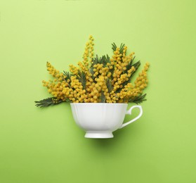 Photo of Beautiful floral composition with mimosa flowers and cup on green background, top view