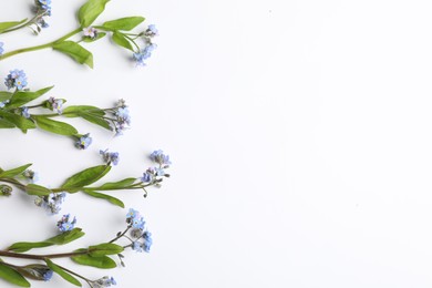 Photo of Beautiful forget-me-not flowers on white background, flat lay. Space for text