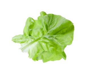 Photo of Fresh leaf of green butter lettuce isolated on white