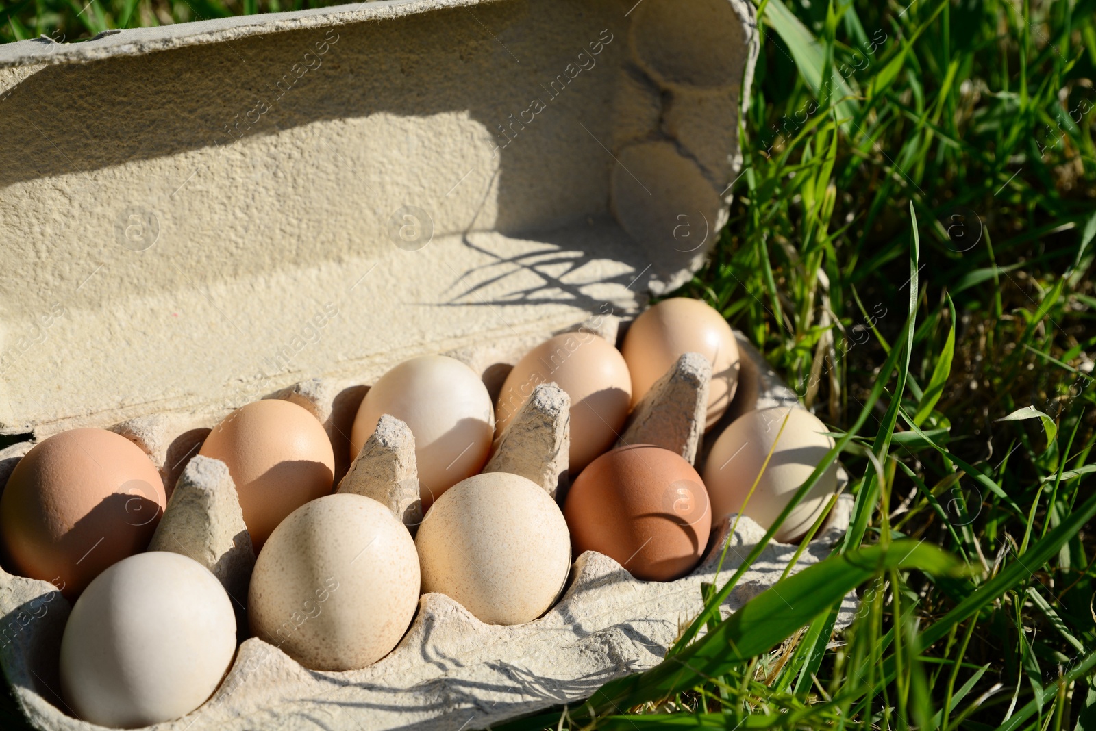 Photo of Carton box of assorted eggs on green grass outdoors