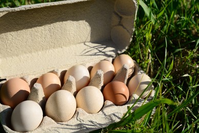 Photo of Carton box of assorted eggs on green grass outdoors