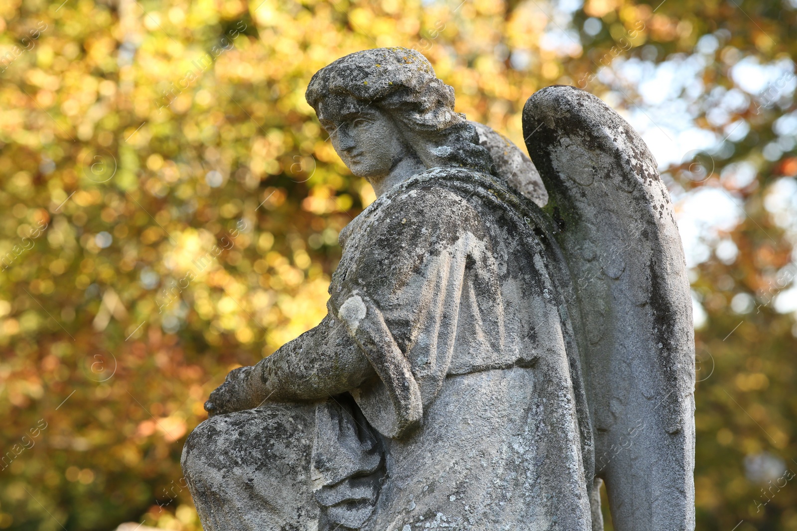 Photo of Beautiful statue of angel at cemetery, space for text