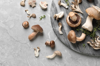 Flat lay composition with fresh wild mushrooms on light grey table