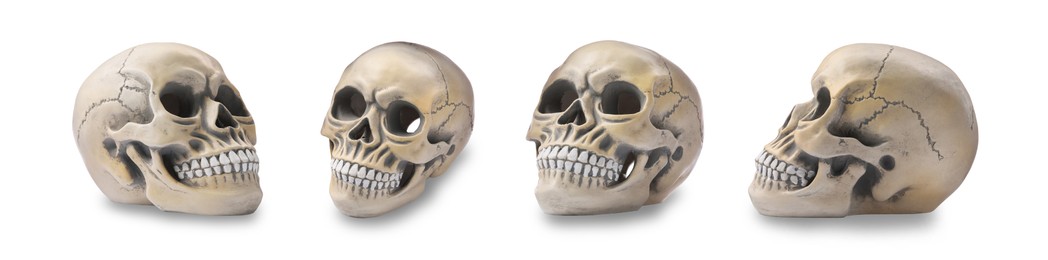 Image of Set with models of human skull on white background. Banner design