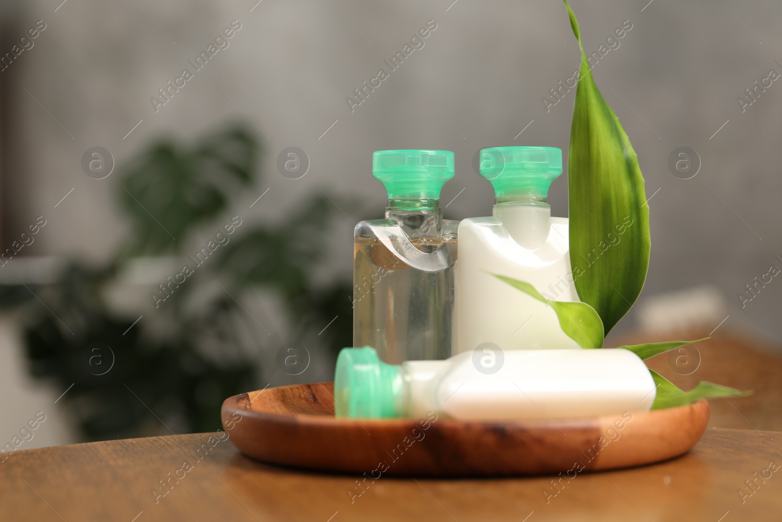 Photo of Mini bottles of cosmetic products and green branch on wooden table against blurred background. Space for text