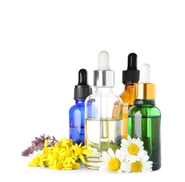 Photo of Bottles of herbal essential oils and wildflowers isolated on white