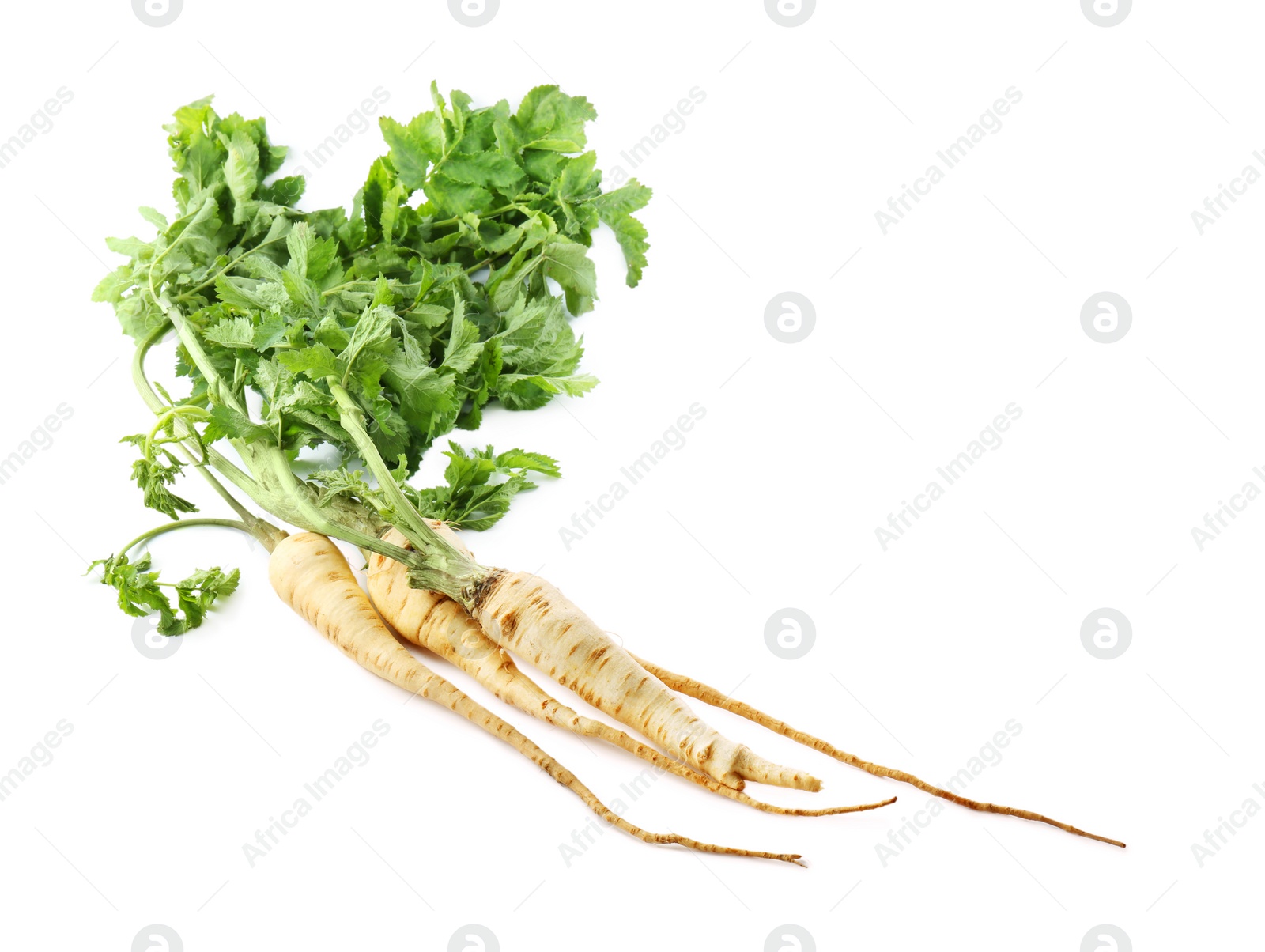 Photo of Tasty fresh ripe parsnips on white background