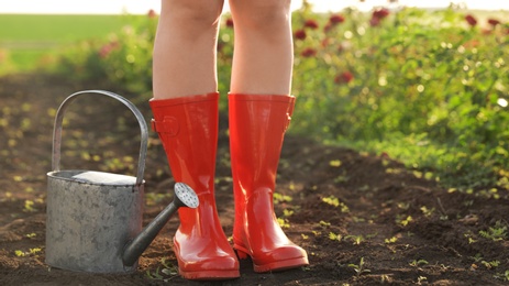 Photo of Woman with watering can near rose bushes outdoors, closeup. Gardening tool