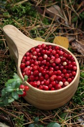 Photo of Many tasty ripe lingonberries in wooden cup outdoors, above view