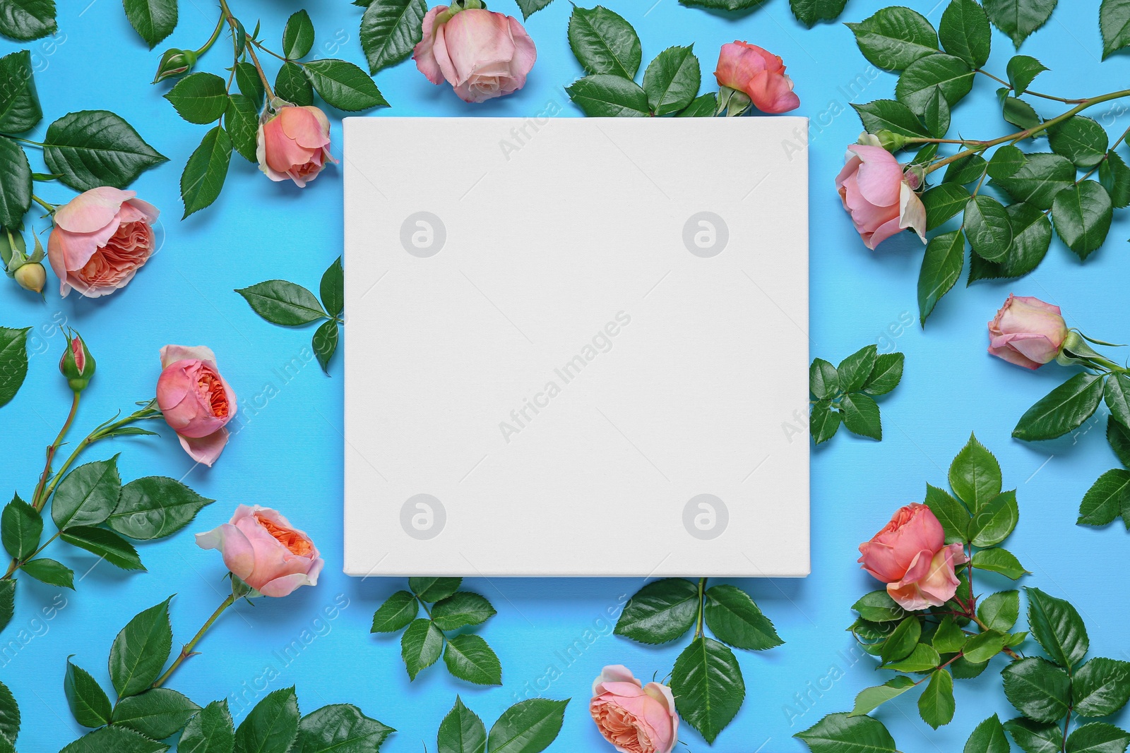 Photo of Blank canvas and beautiful pink roses on light blue background, flat lay. Space for design