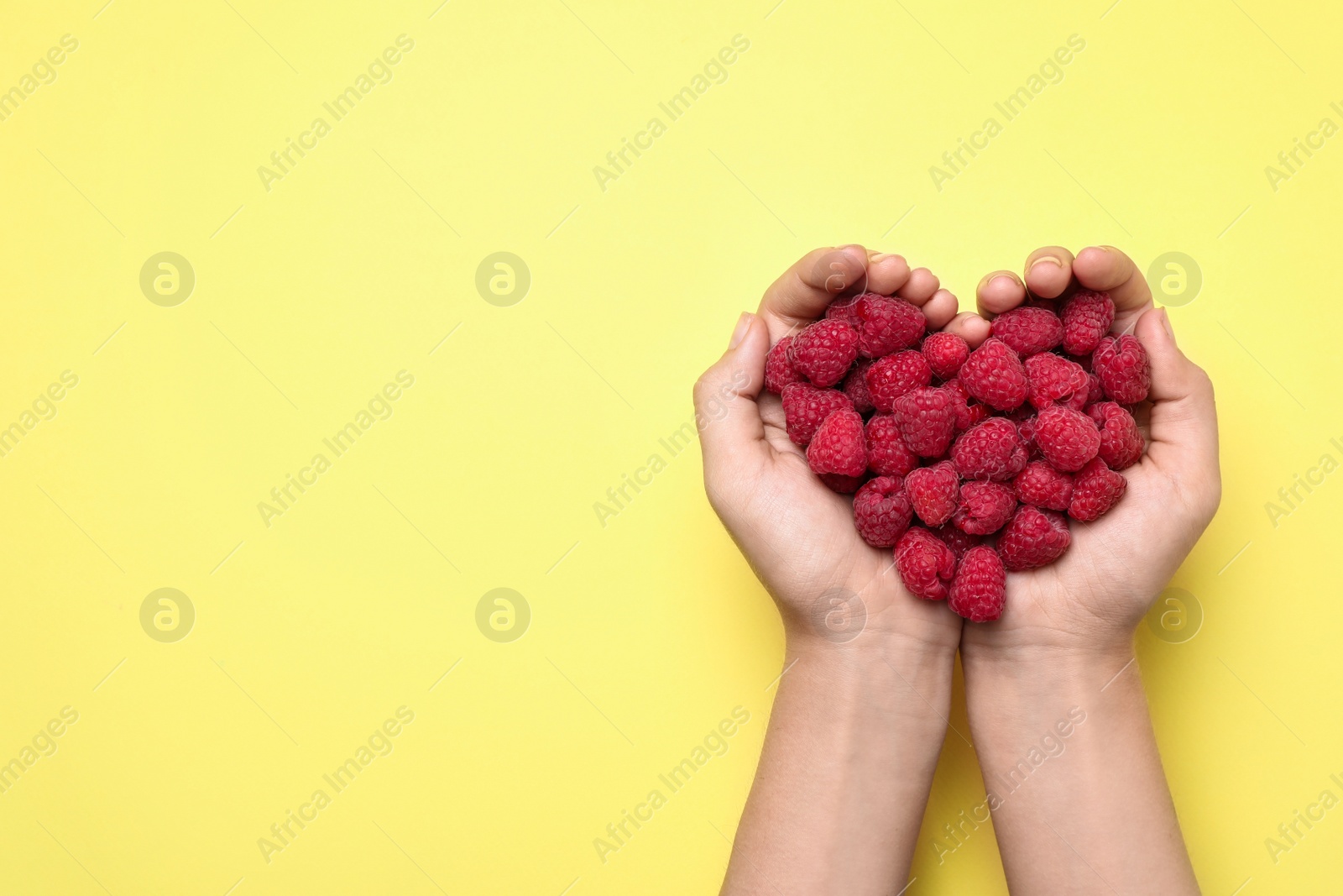 Photo of Woman holding delicious ripe raspberries on yellow background, top view. Space for text