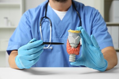 Photo of Endocrinologist showing thyroid gland model at white table in hospital, closeup