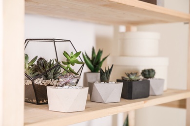 Photo of Different home plants on wooden shelf, space for text. Interior design element