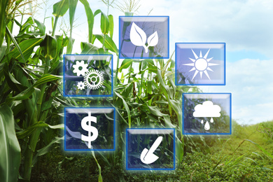 Image of Modern agriculture concept. Icons and field on background